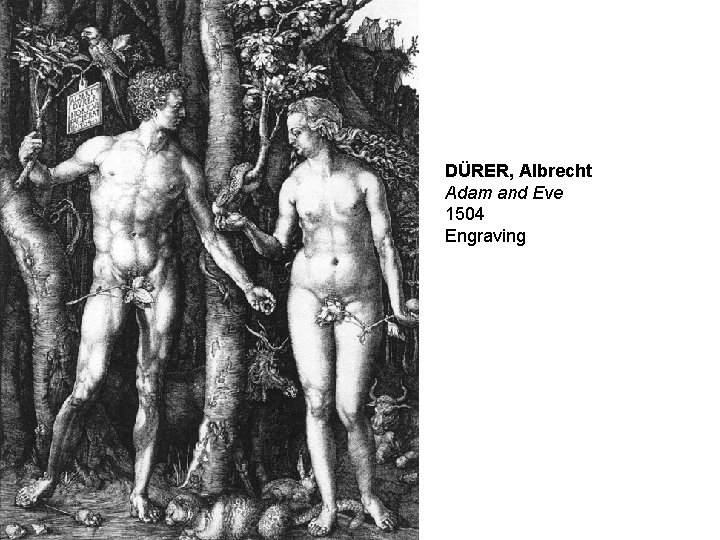 DÜRER, Albrecht Adam and Eve 1504 Engraving 