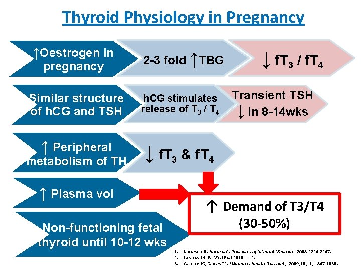 Thyroid Physiology in Pregnancy ↑Oestrogen in pregnancy 2 -3 fold ↑TBG Similar structure of