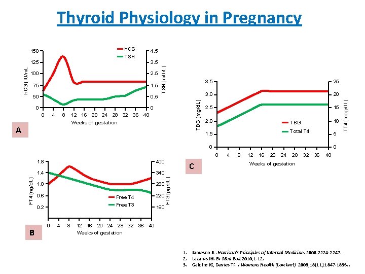 Thyroid Physiology in Pregnancy h. CG 3. 5 100 2. 5 75 1. 5
