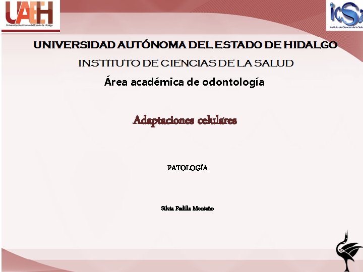 Área académica de odontología Adaptaciones celulares PATOLOGÍA Silvia Padilla Montaño 