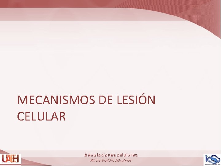 MECANISMOS DE LESIÓN CELULAR Adaptaciones celulares Silvia Padilla Montaño 
