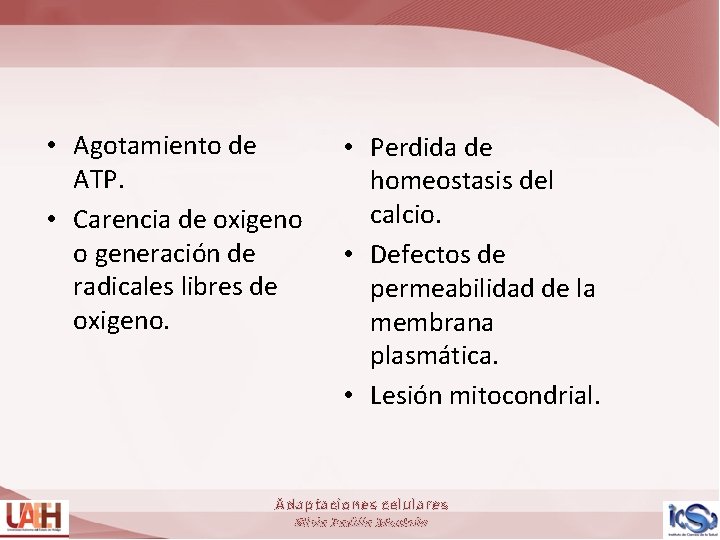  • Agotamiento de ATP. • Carencia de oxigeno o generación de radicales libres