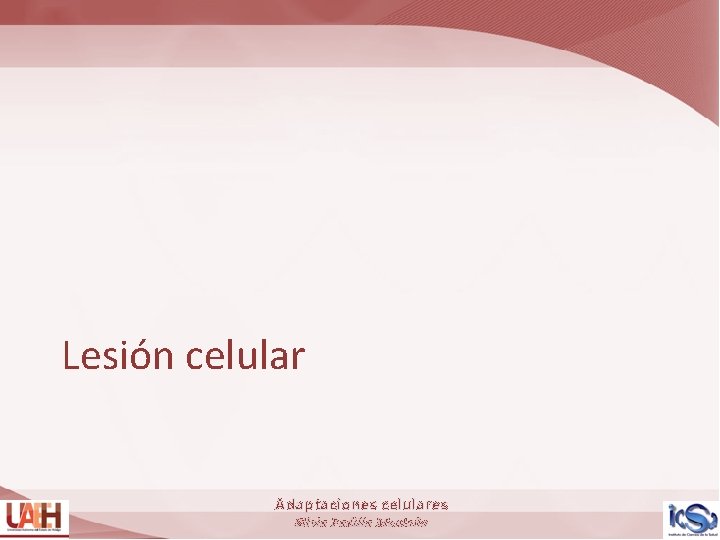 Lesión celular Adaptaciones celulares Silvia Padilla Montaño 