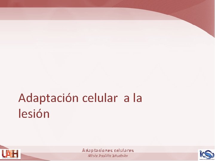 Adaptación celular a la lesión Adaptaciones celulares Silvia Padilla Montaño 