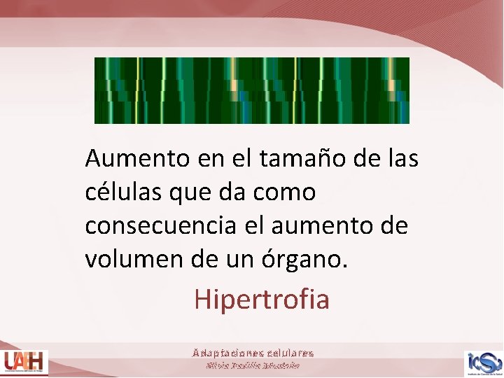 Aumento en el tamaño de las células que da como consecuencia el aumento de