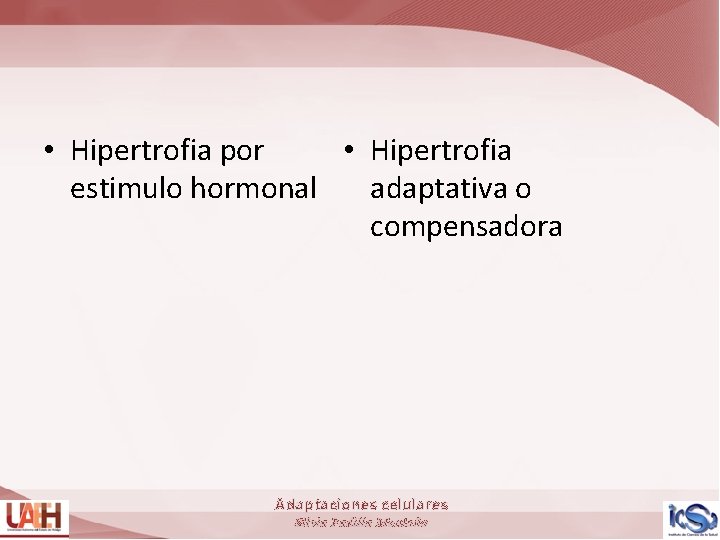  • Hipertrofia por • Hipertrofia estimulo hormonal adaptativa o compensadora Adaptaciones celulares Silvia