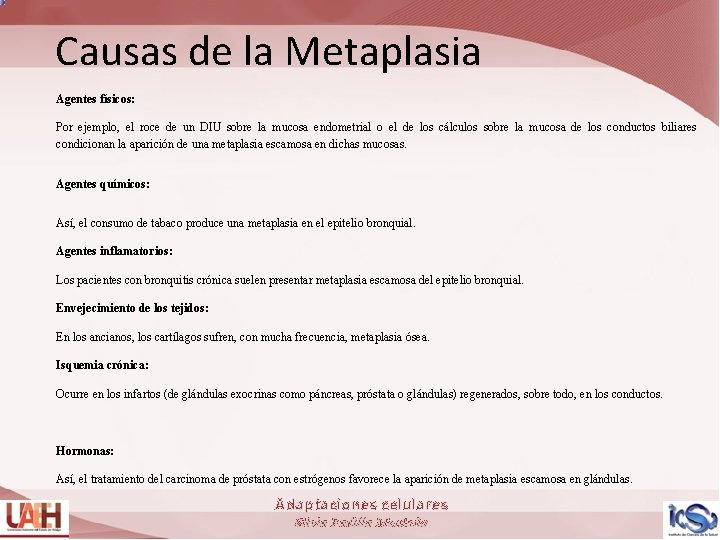 Causas de la Metaplasia Agentes físicos: Por ejemplo, el roce de un DIU sobre