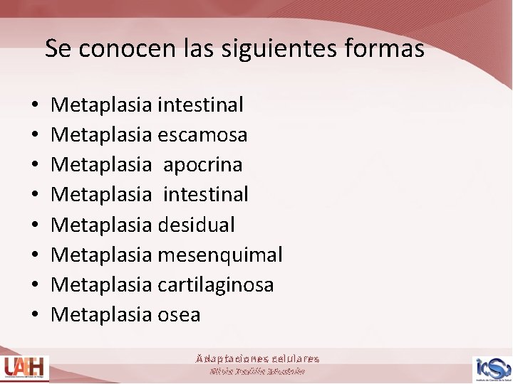 Se conocen las siguientes formas • • Metaplasia intestinal Metaplasia escamosa Metaplasia apocrina Metaplasia
