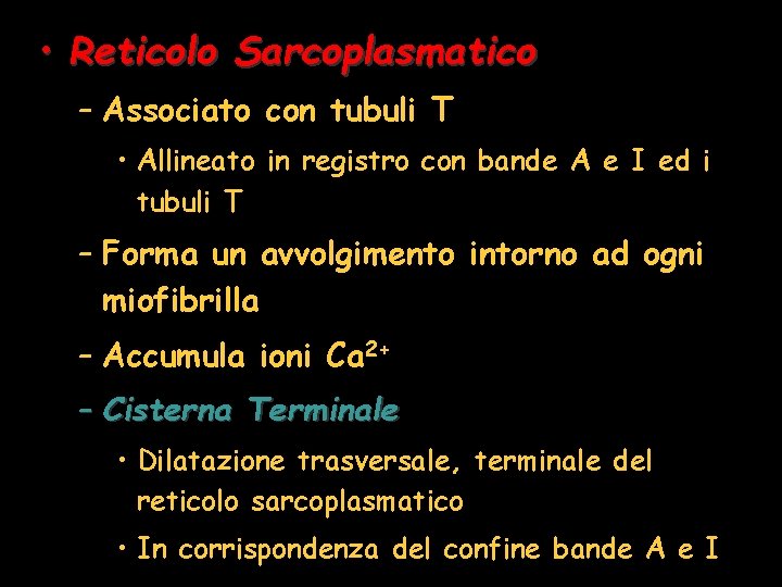  • Reticolo Sarcoplasmatico – Associato con tubuli T • Allineato in registro con