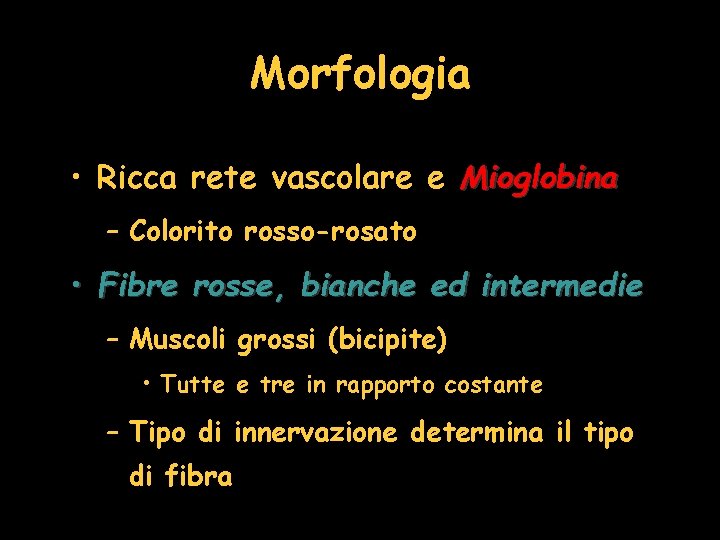 Morfologia • Ricca rete vascolare e Mioglobina – Colorito rosso-rosato • Fibre rosse, bianche