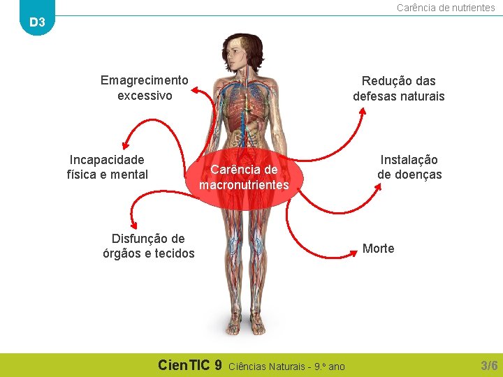 Carência de nutrientes D 3 Emagrecimento excessivo Incapacidade física e mental Redução das defesas