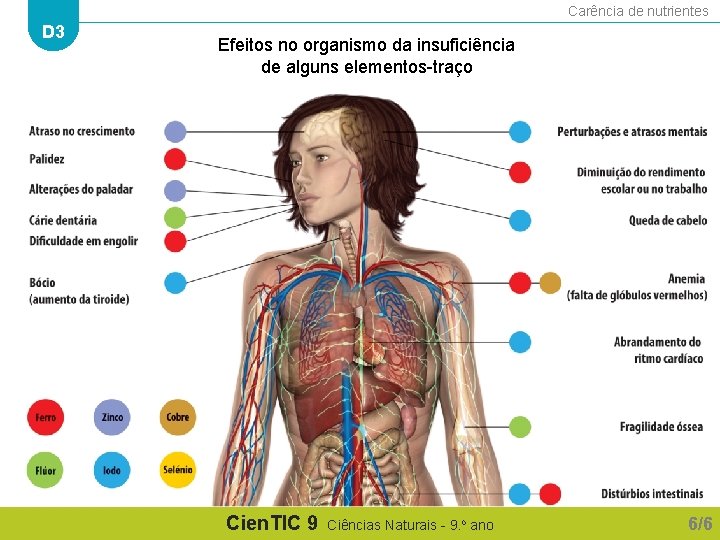 Carência de nutrientes D 3 Efeitos no organismo da insuficiência de alguns elementos-traço Cien.