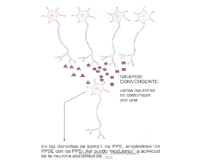 IPCHILE - DOCENTE: Veronica Pantoja S. 2013 