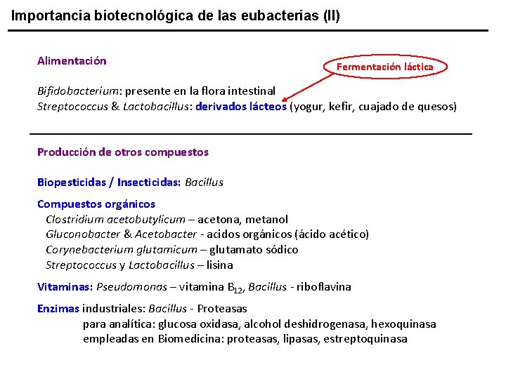 Importancia biotecnológica de las eubacterias (II) Alimentación Fermentación láctica Bifidobacterium: presente en la flora