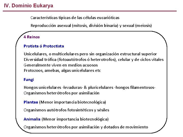 IV. Dominio Eukarya Características típicas de las células eucarióticas Reproducción asexual (mitosis, división binaria)