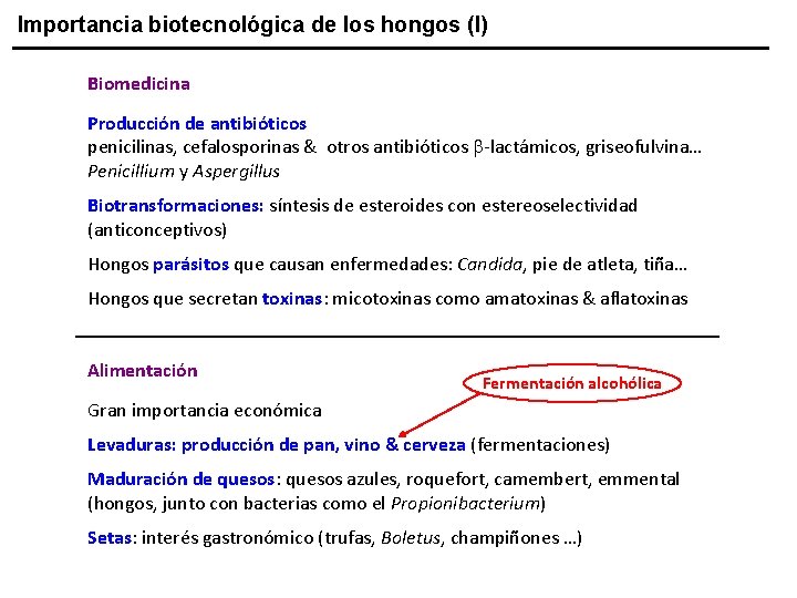 Importancia biotecnológica de los hongos (I) Biomedicina Producción de antibióticos penicilinas, cefalosporinas & otros