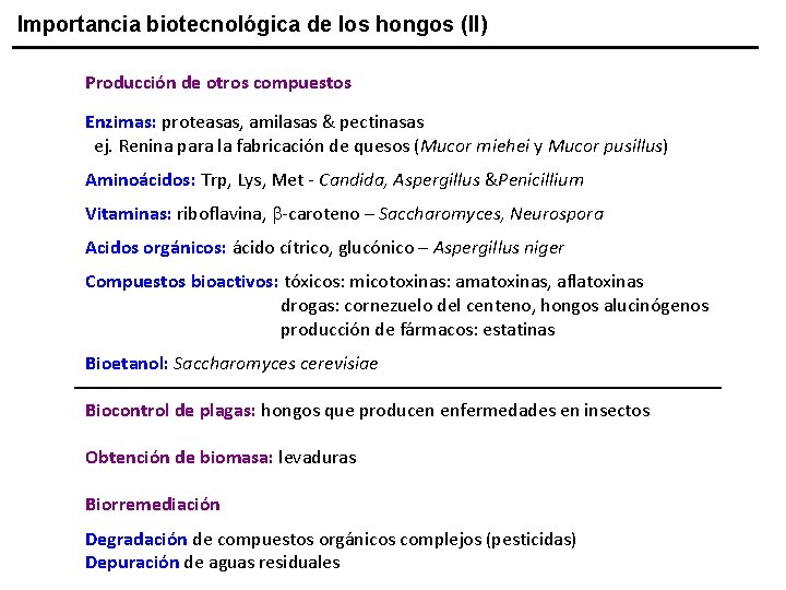 Importancia biotecnológica de los hongos (II) Producción de otros compuestos Enzimas: proteasas, amilasas &