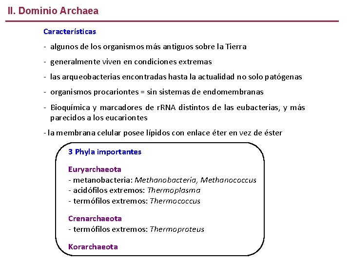 II. Dominio Archaea Características - algunos de los organismos más antiguos sobre la Tierra