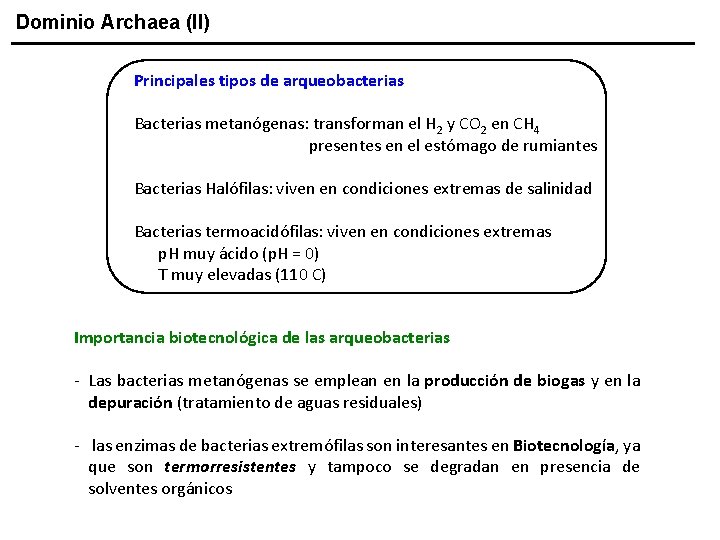 Dominio Archaea (II) Principales tipos de arqueobacterias Bacterias metanógenas: transforman el H 2 y