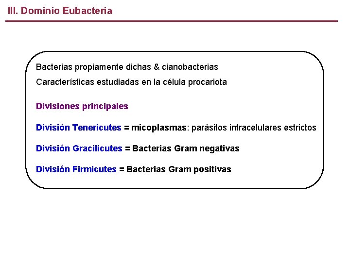III. Dominio Eubacteria Bacterias propiamente dichas & cianobacterias Características estudiadas en la célula procariota