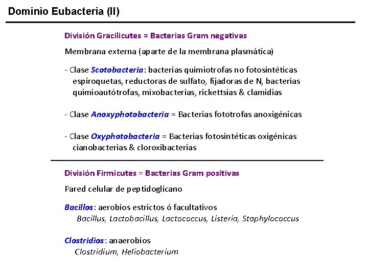 Dominio Eubacteria (II) División Gracilicutes = Bacterias Gram negativas Membrana externa (aparte de la