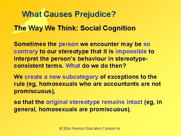 What Causes Prejudice? The Way We Think: Social Cognition Sometimes the person we encounter