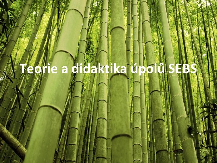 Teorie a didaktika úpolů SEBS 