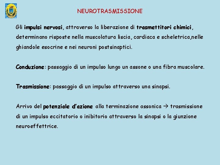 NEUROTRASMISSIONE Gli impulsi nervosi, attraverso la liberazione di trasmettitori chimici, determinano risposte nella muscolatura