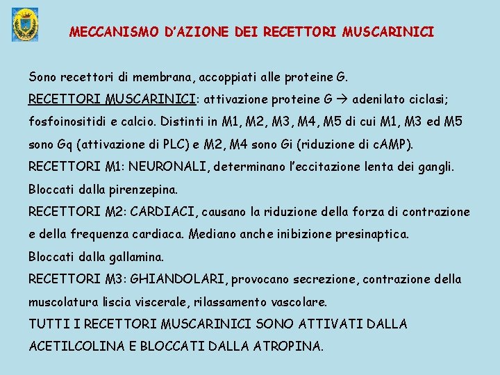 MECCANISMO D’AZIONE DEI RECETTORI MUSCARINICI Sono recettori di membrana, accoppiati alle proteine G. RECETTORI