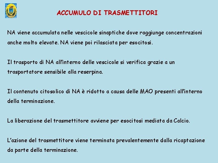 ACCUMULO DI TRASMETTITORI NA viene accumulata nelle vescicole sinaptiche dove raggiunge concentrazioni anche molto