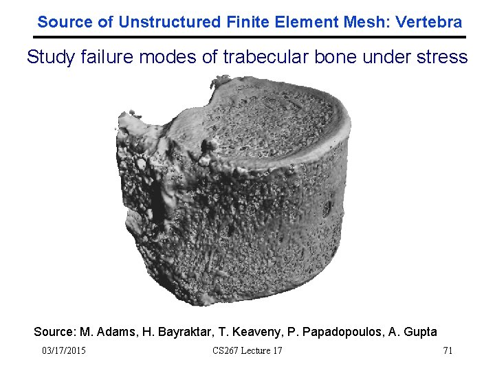 Source of Unstructured Finite Element Mesh: Vertebra Study failure modes of trabecular bone under