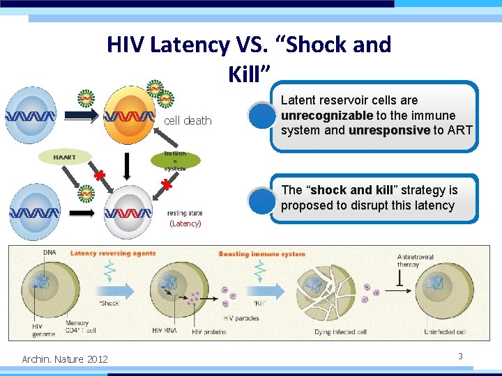 HIV Latency VS. “Shock and Kill” cell death HAART Latent reservoir cells are unrecognizable