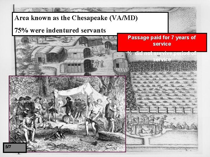 Area known as the Chesapeake (VA/MD) 75% were indentured servants Passage paid for 7