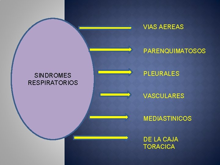 VIAS AEREAS PARENQUIMATOSOS SINDROMES RESPIRATORIOS PLEURALES VASCULARES MEDIASTINICOS DE LA CAJA TORACICA 