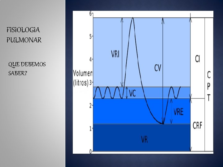 FISIOLOGIA PULMONAR QUE DEBEMOS SABER? 