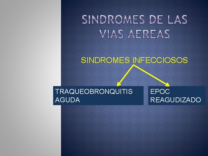 SINDROMES INFECCIOSOS TRAQUEOBRONQUITIS AGUDA EPOC REAGUDIZADO 