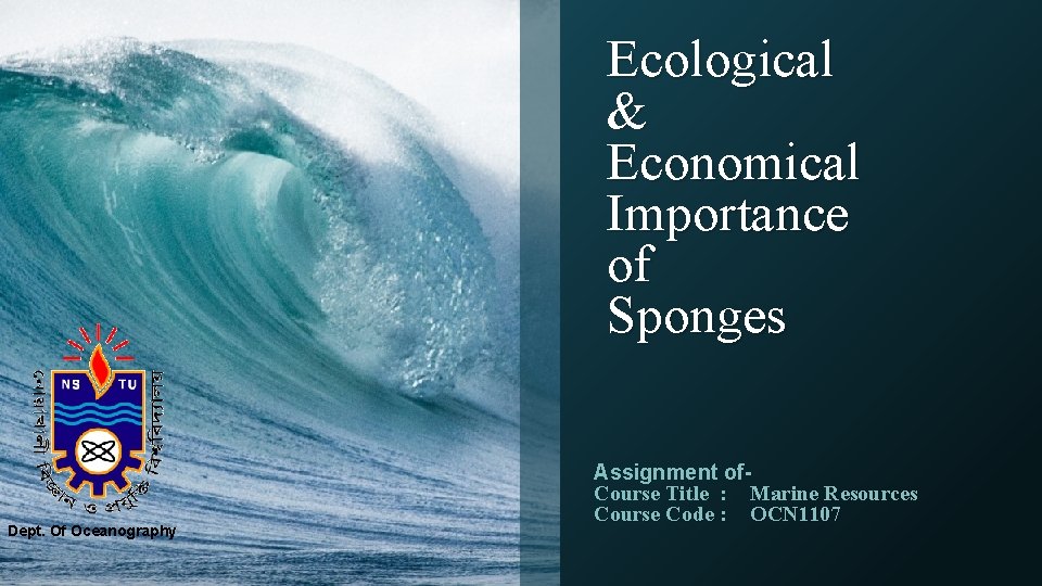 Ecological & Economical Importance of Sponges Dept. Of Oceanography Assignment of. Course Title :