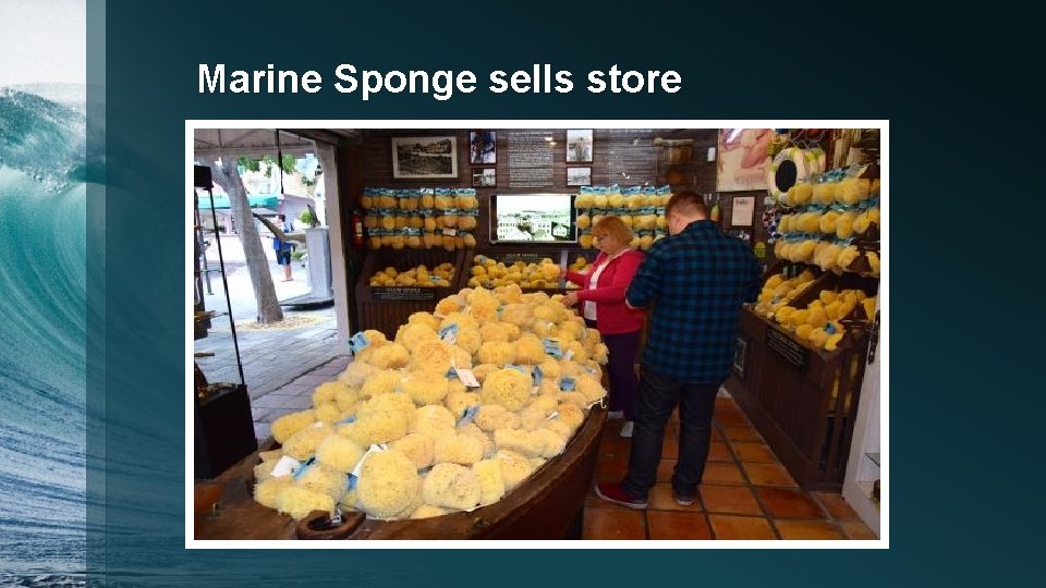 Marine Sponge sells store 