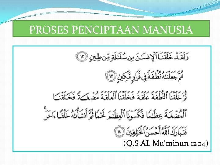 PROSES PENCIPTAAN MANUSIA (Q. S AL Mu’minun 12: 14) 