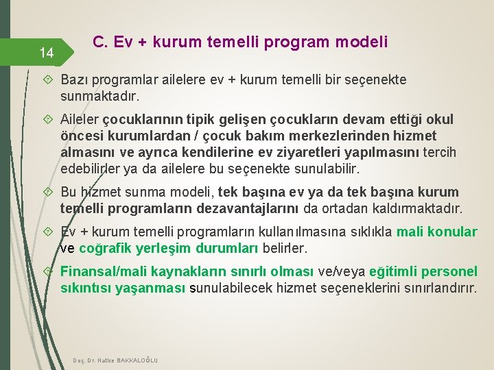 14 C. Ev + kurum temelli program modeli Bazı programlar ailelere ev + kurum