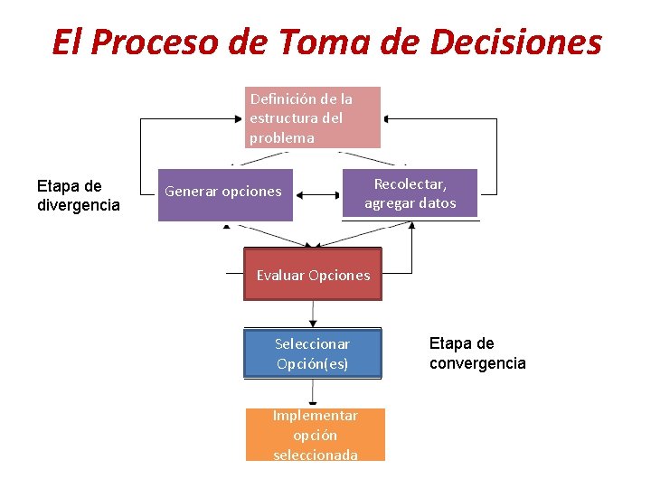 El Proceso de Toma de Decisiones Definición de la estructura del problema Etapa de