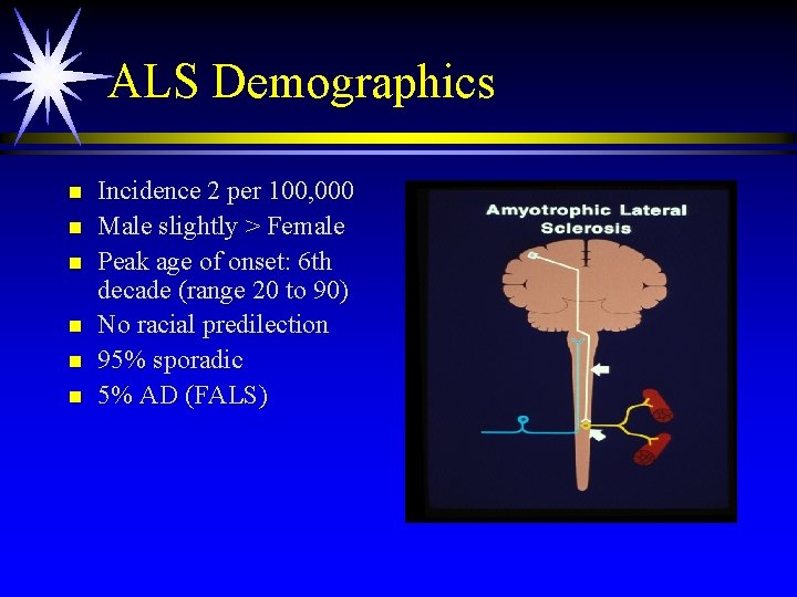 ALS Demographics n n n Incidence 2 per 100, 000 Male slightly > Female