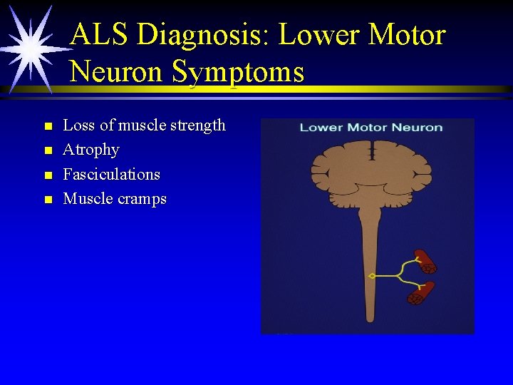 ALS Diagnosis: Lower Motor Neuron Symptoms n n Loss of muscle strength Atrophy Fasciculations ALS Diagnosis: Lower Motor Neuron Symptoms n n Loss of muscle strength Atrophy Fasciculations