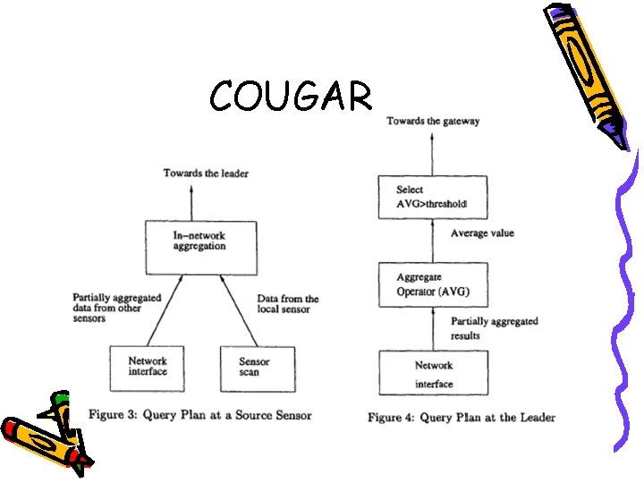 COUGAR 