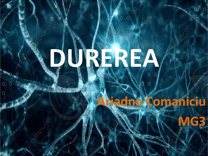 DUREREA Ariadna Comaniciu MG 3 