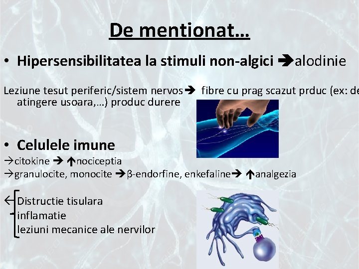 De mentionat… • Hipersensibilitatea la stimuli non-algici alodinie Leziune tesut periferic/sistem nervos fibre cu