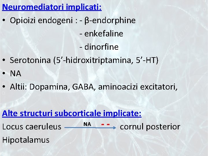 Neuromediatori implicati: • Opioizi endogeni : - β-endorphine - enkefaline - dinorfine • Serotonina