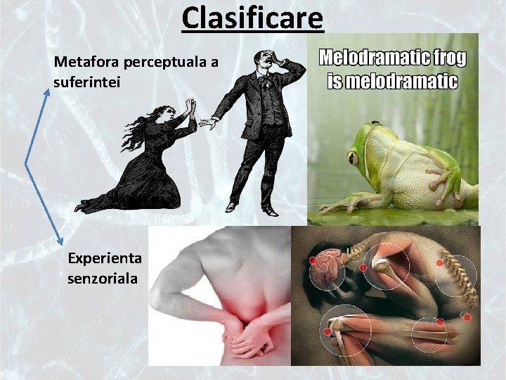 Clasificare Metafora perceptuala a suferintei Experienta senzoriala 