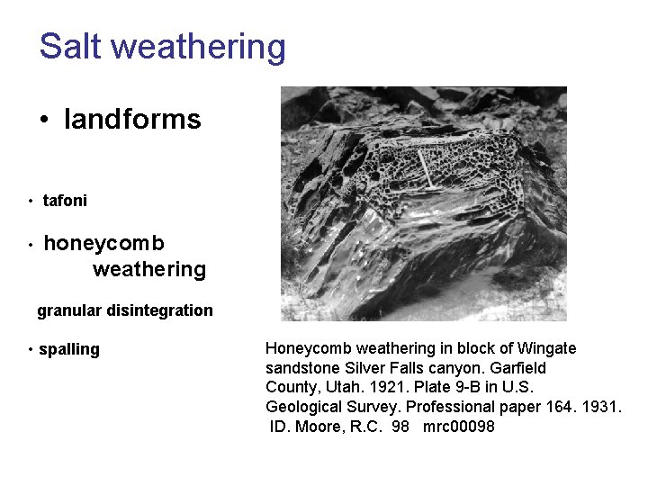 Salt weathering • landforms • tafoni • honeycomb weathering granular disintegration • spalling Honeycomb