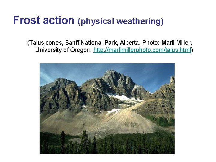 Frost action (physical weathering) (Talus cones, Banff National Park, Alberta. Photo: Marli Miller, University